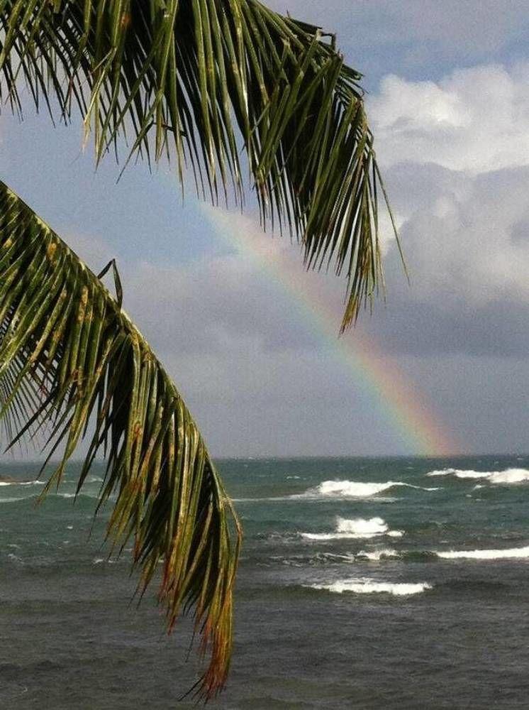 Rainbow Beach Apartments & Rooms Calibishie Luaran gambar